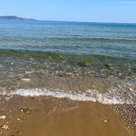 T2- 2Adultes/2Enfants Centre-Ville, Proche Plages Cavalaire-sur-Mer Bagian luar foto